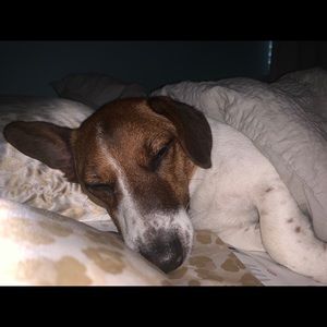 Meet your Posher, Caroline